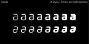 Carnac, a Sans Serif Font by Hoftype (Thumbnail 9 of 15)