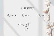 Adelya | Script Font, a Handwritten Font by Scratchones (Thumbnail 8 of 9)