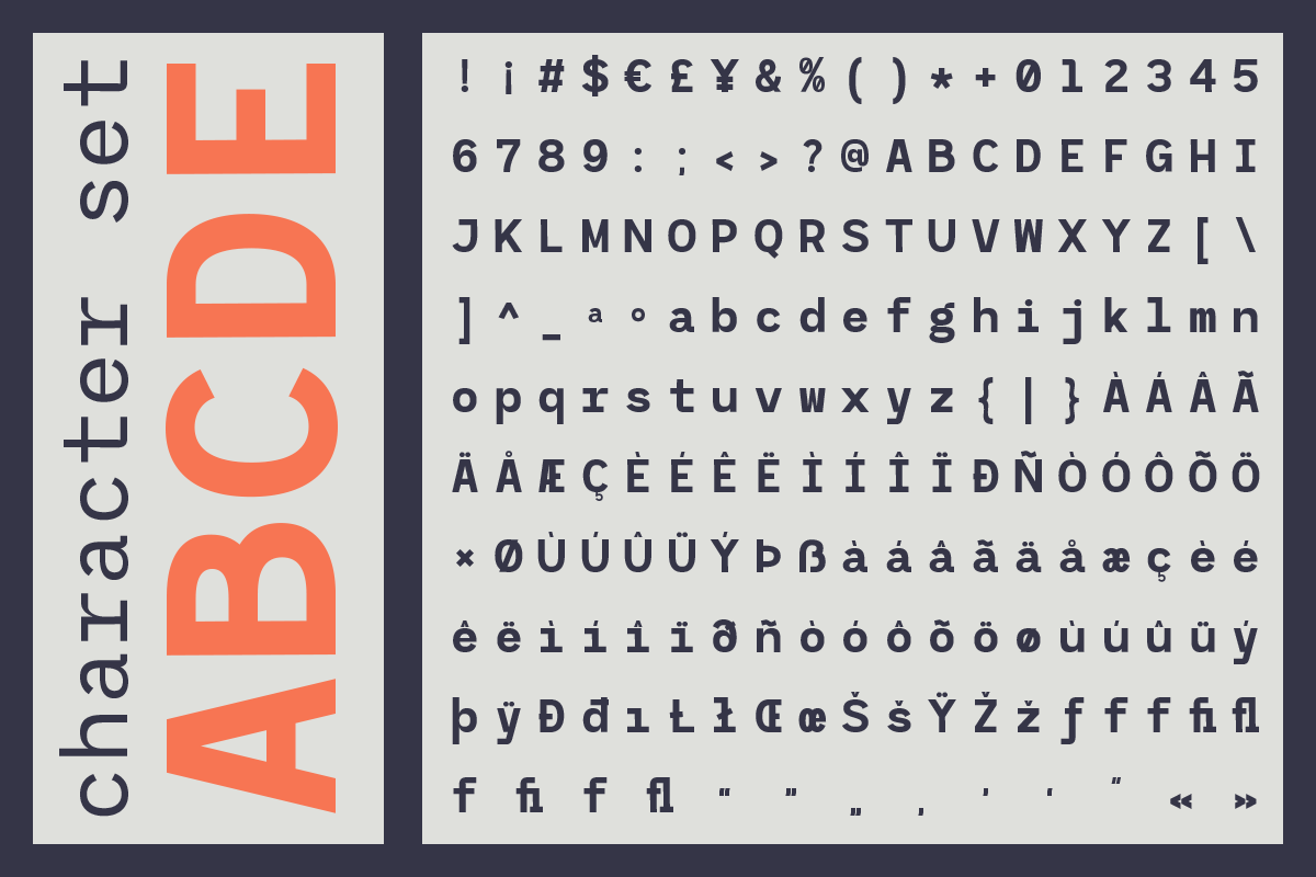 RCL Monoskrn – A Modern Monospaced, a Sans Serif Font by roomspace creative lab (Photo 15 of 15)