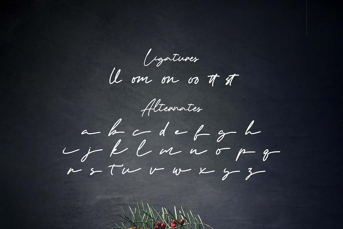 Artemay Bright - Signature Font, a Script Font by StringLabs (Photo 9 of 9)