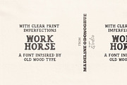 Work Horse – Vintage Wood Serif Font, a Slab Serif Font by Madeline ODonoghue Design (Thumbnail 1 of 5)