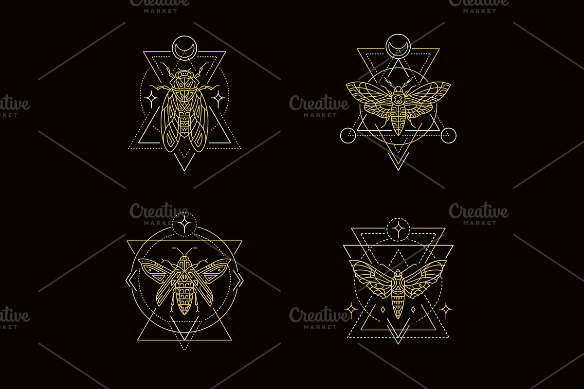 16 Insect symbols and 4 Patterns, an Outline Icon by Anna Smirnova (Photo 5 of 12)