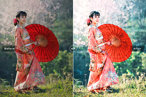 Kyoto Pro Lightroom Presets