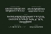 Ketinste - Elegant Serif Font, a Serif Font by TypeLogue (Thumbnail 5 of 5)