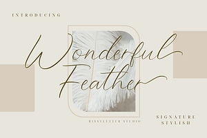 Wonderful Feather | Handwritten Font