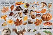 Cozy Autumn Picnic Graphics Kit, an Object Graphic by DreamoraArt (Thumbnail 6 of 8)