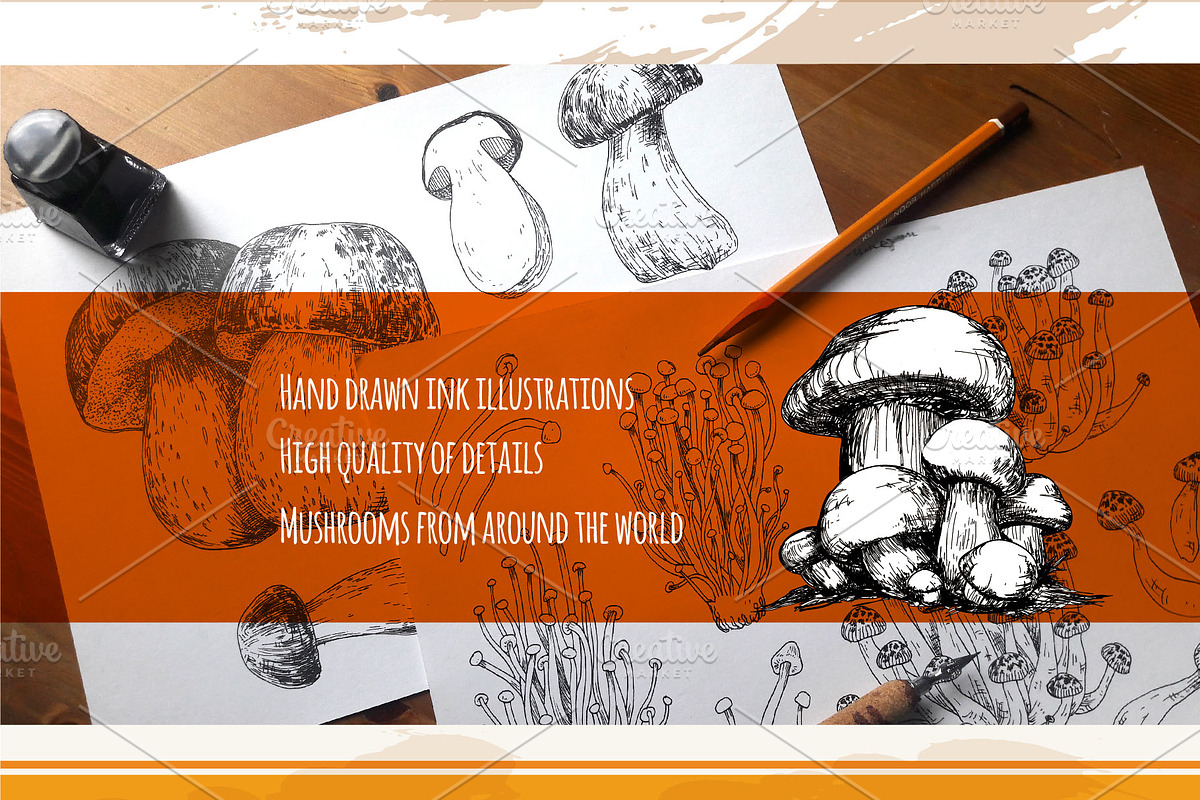 Mushrooms. Big set. 84 objects, a Decorative Illustration by Alena Kaz (Photo 2 of 8)