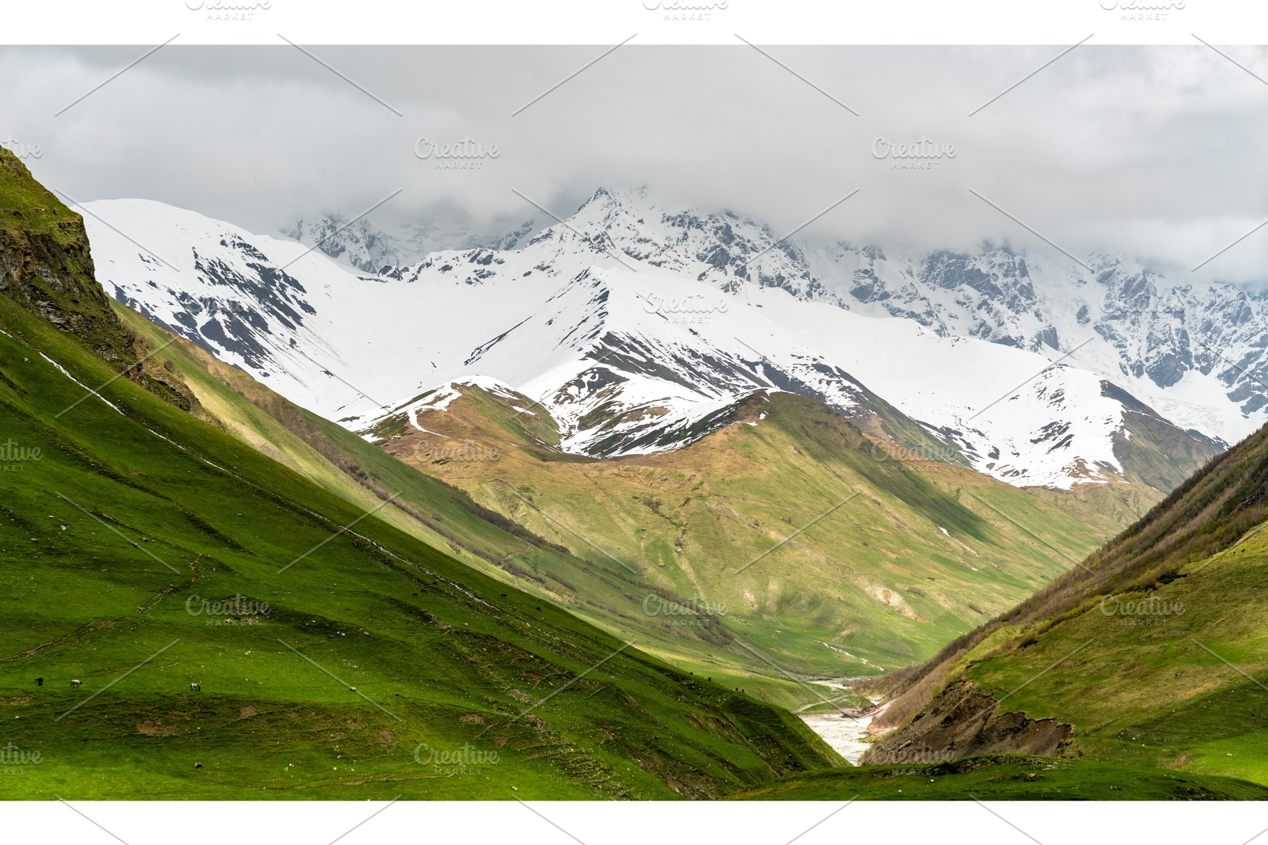 Shkhara Glacier near Ushguli village, a Nature Photo by Leonid Andronov