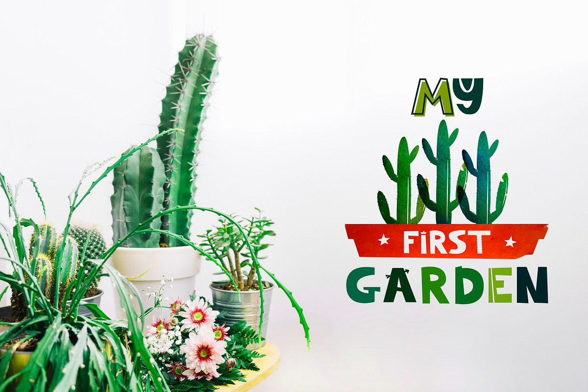 Illustrations with Cacti, an Illustration by Alyonka_lis (Photo 5 of 9)