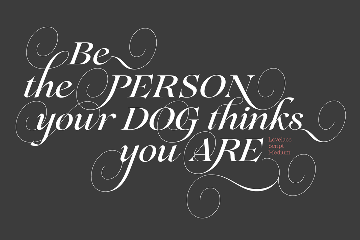 Lovelace - 30 fonts, a Serif Font by Zetafonts (Photo 2 of 15)