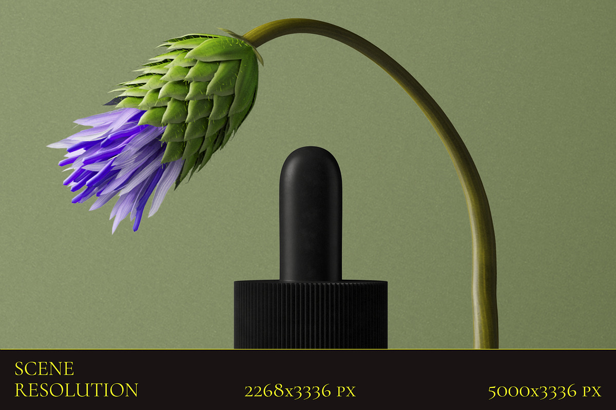 (147) Cosmetics mockups - part 2, a Packaging Mockup by Creatoom (Photo 8 of 17)