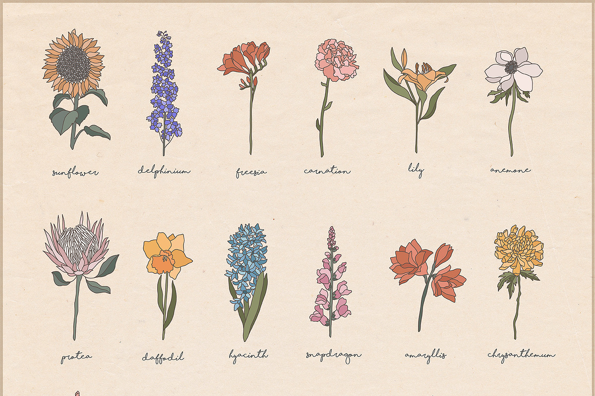 Unique Botanic Collection, a Technology Illustration by Julia Dreams (Photo 8 of 10)