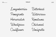 Damia Handwritting Font, a Script Font by AndriyFM (Thumbnail 3 of 6)