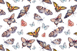 Beautiful Watercolor Butterflies