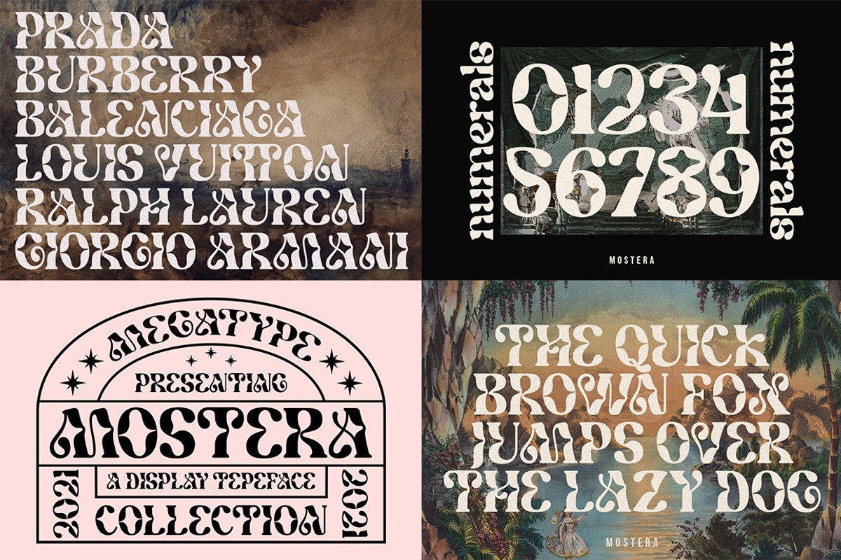 The Premium Creation Font Bundle, a Serif Font by Megatype (Photo 14 of 56)