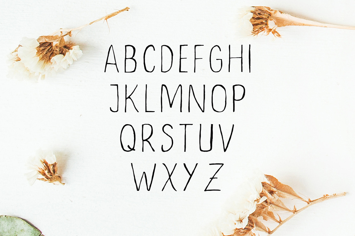 Ceica Handwritten Duo Font + Bonus preview 4