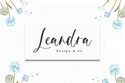 Pashmina, a Script Font by Sronstudio (Thumbnail 5 of 10)