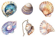Watercolor Seashell Clipart Bundle, an Illustration by Pixels.Craft (Thumbnail 3 of 7)