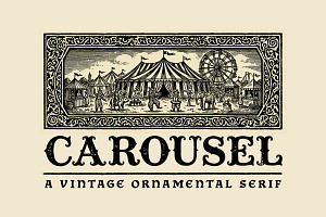 Carousel Typeface, a Serif Font by Tugcu Design Co.