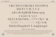 Cagier, a Serif Font by Nathatype (Thumbnail 9 of 10)