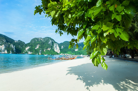 Paradise Island, a Nature Photo by WildStrawberry Magic