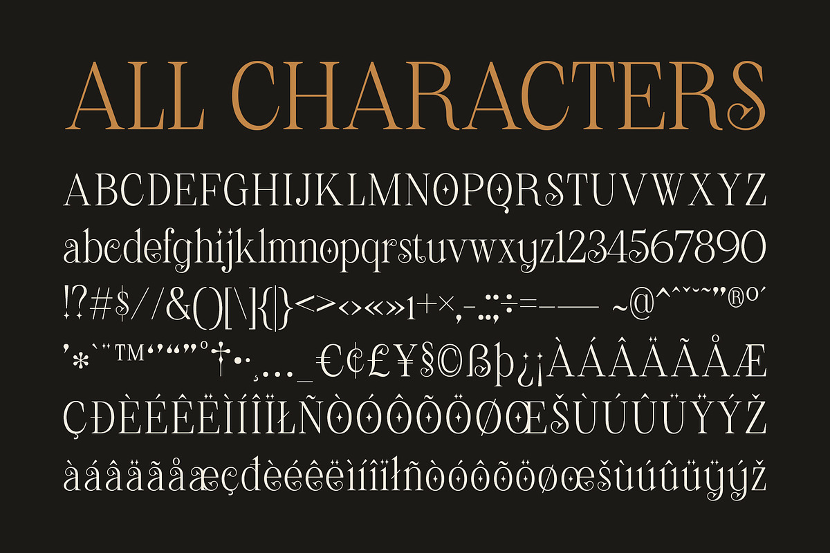 CS Reload – Aesthetic Font, a Serif Font by Craft Supply Co. (Photo 8 of 8)