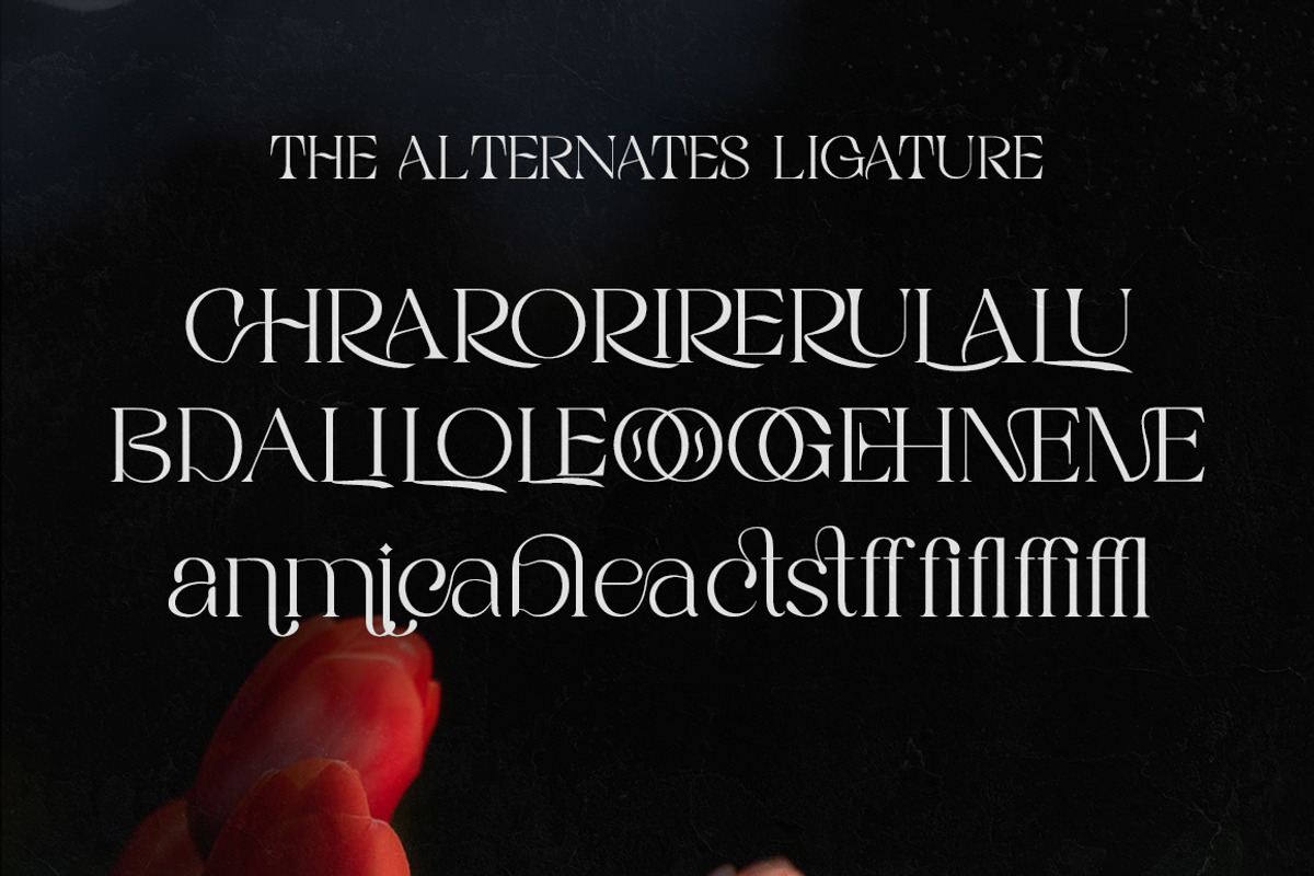 Rigata, a Serif Font by Gatype (Photo 12 of 12)