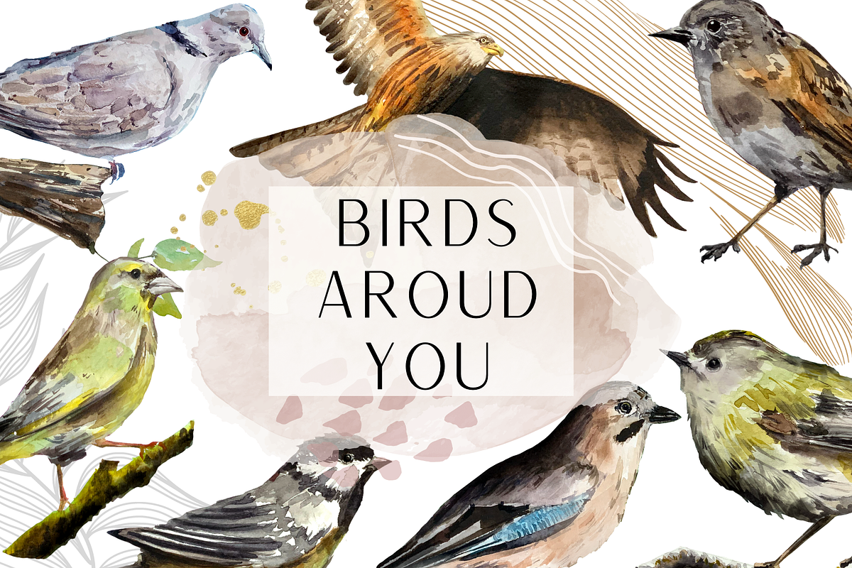 Watercolor Birds Clip Arts and Cards, an Education Illustration by Tati Bordiu (Photo 1 of 5)