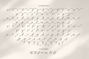 Amstromato Script Signature, a Handwritten Font by Portocraft (Thumbnail 10 of 10)