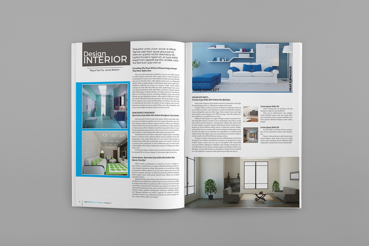Various Graphics Magazine Template, a Magazine Template by GreenDesign (Photo 5 of 5)