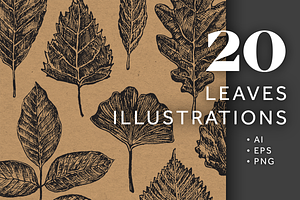 20 Leaves Illustrations