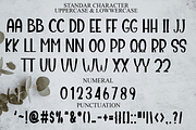 Rabbit, a Script Font by FreshTypeINK (Thumbnail 4 of 7)