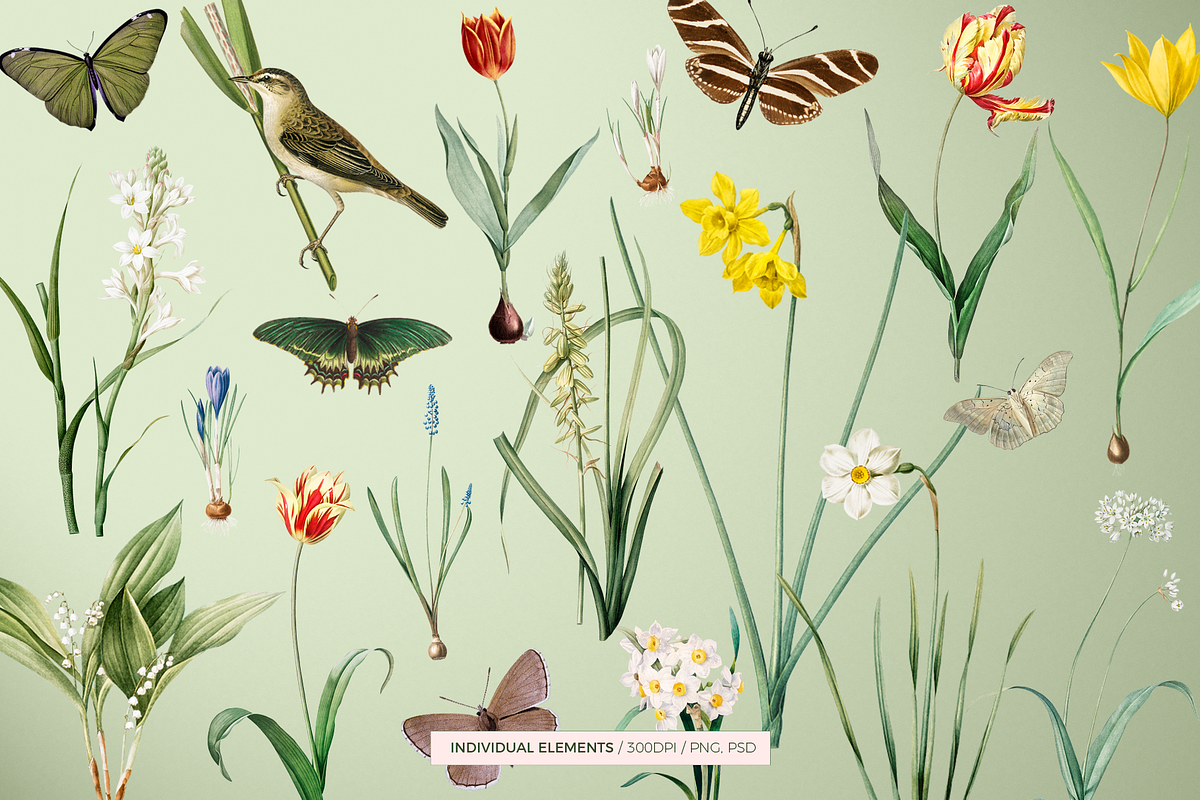 SPRING FLOWERS SEAMLESS PATTERNS, a Pattern Graphic by Splash! (Photo 8 of 10)