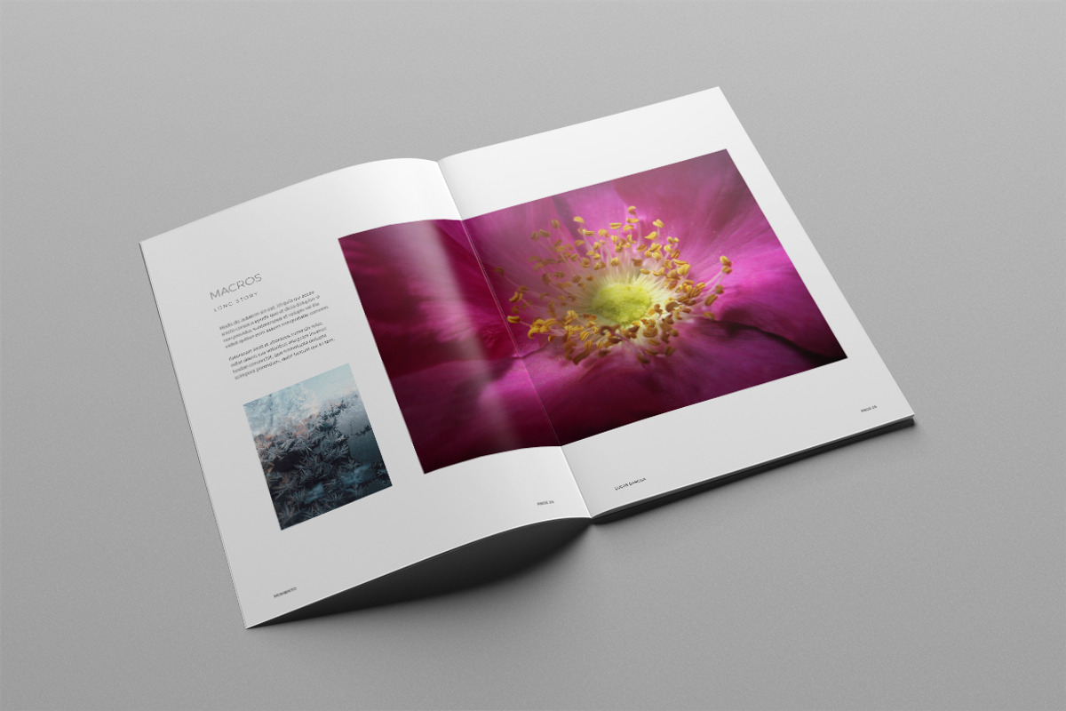 Photography Portfolio, a Brochure Template by Meenom Templates (Photo 15 of 20)