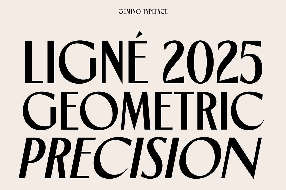 TNSC Gemino - Sans & Serif Typeface, a Serif Font by The Native Saint Club (Photo 4 of 14)