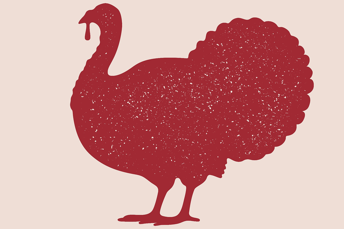 Turkey bird silhouette. Graphic, an Object Illustration by Foxys Graphic (Photo 2 of 3)
