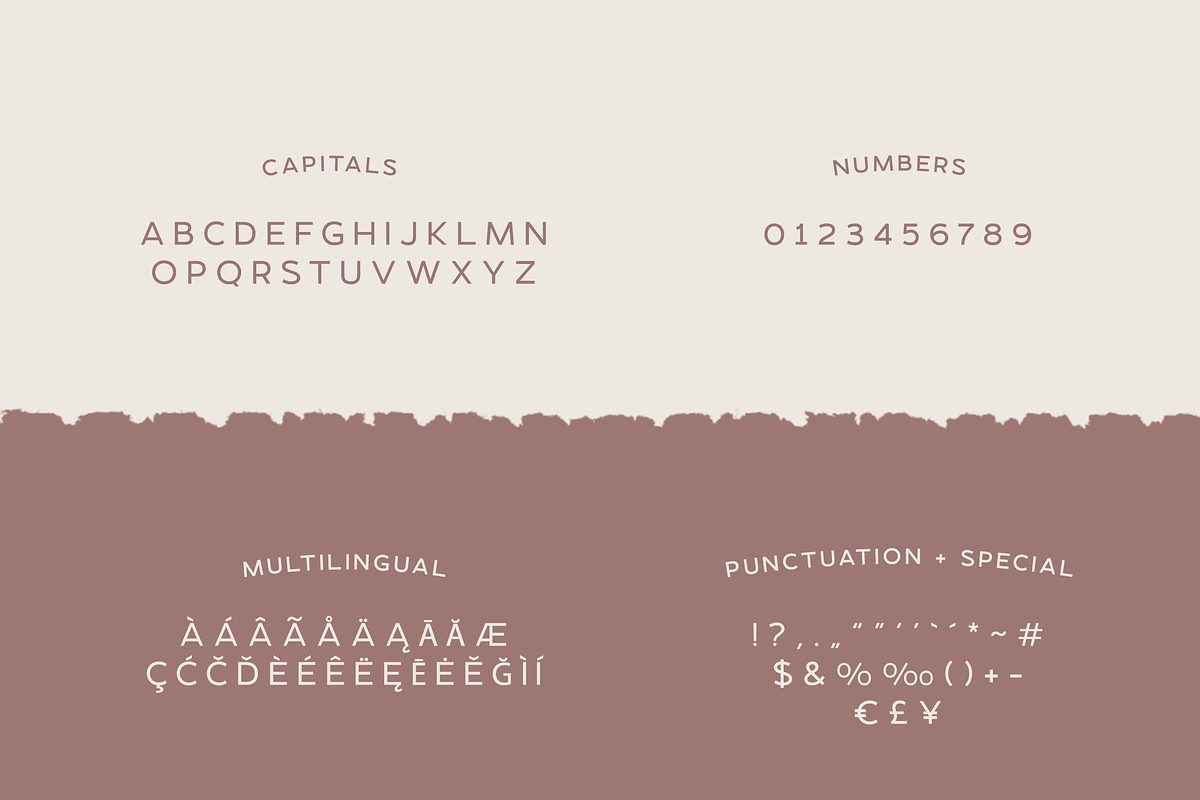 DelRay - Sans Serif Ligature Typefac, a Serif Font by Surplus Type Co (Photo 9 of 13)