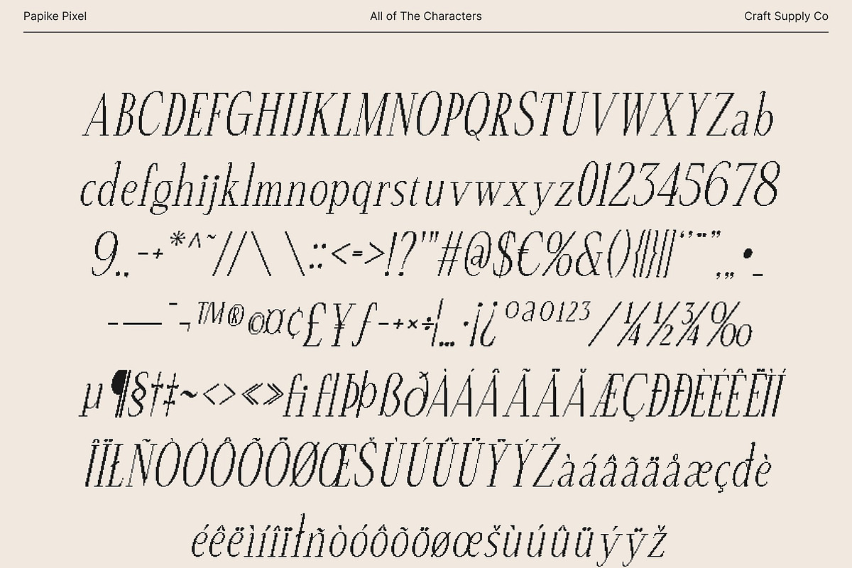 Papike Pixel, a Serif Font by Craft Supply Co. (Photo 8 of 8)