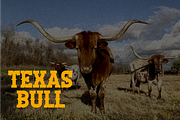 Cowboy College, a Symbol Font by Masyafi Studio (Thumbnail 9 of 14)