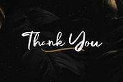 Delighta - Brush Script Font, a Script Font by Zeatype (Thumbnail 6 of 6)