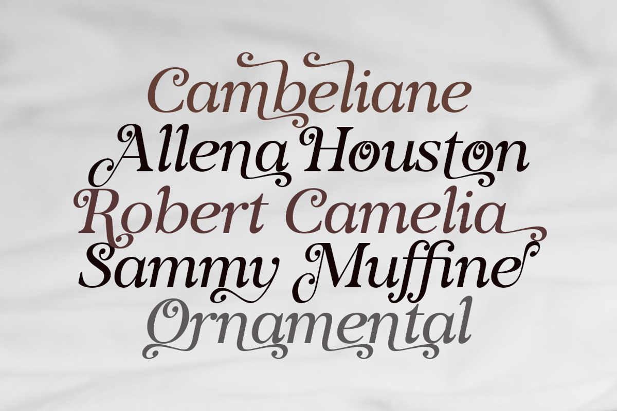 Voster Noise, a Serif Font by Propertype (Photo 3 of 10)