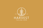 Harvest Logo Nature Plant Wheat, a Branding & Logo Template by Signatoro (Thumbnail 3 of 3)