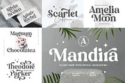 Font Bundle - Year End Sale! 95% OFF, a Font by Arterfak Project (Thumbnail 6 of 16)