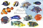 Watercolor whale. Sea underwater set, an Animal Illustration by Julycolor (Thumbnail 10 of 21)