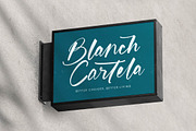 Whitela Akuatic - Bold Brush Font, a Script Font by stylishtype.co (Thumbnail 17 of 20)