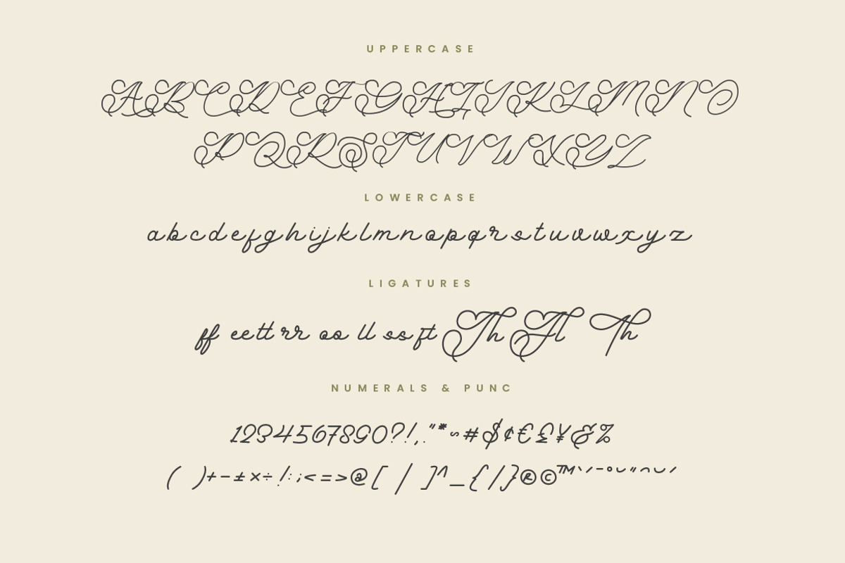 Anabella Monoline Script, a Script Font by Creatype Studio (Photo 9 of 9)
