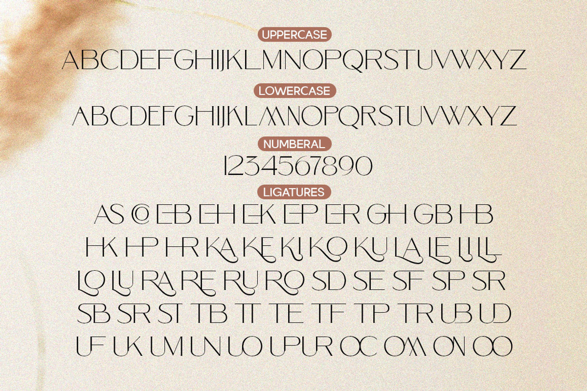 Monting Serif Script Modern Font Duo, a Script Font by Letter Fresh (Photo 11 of 12)