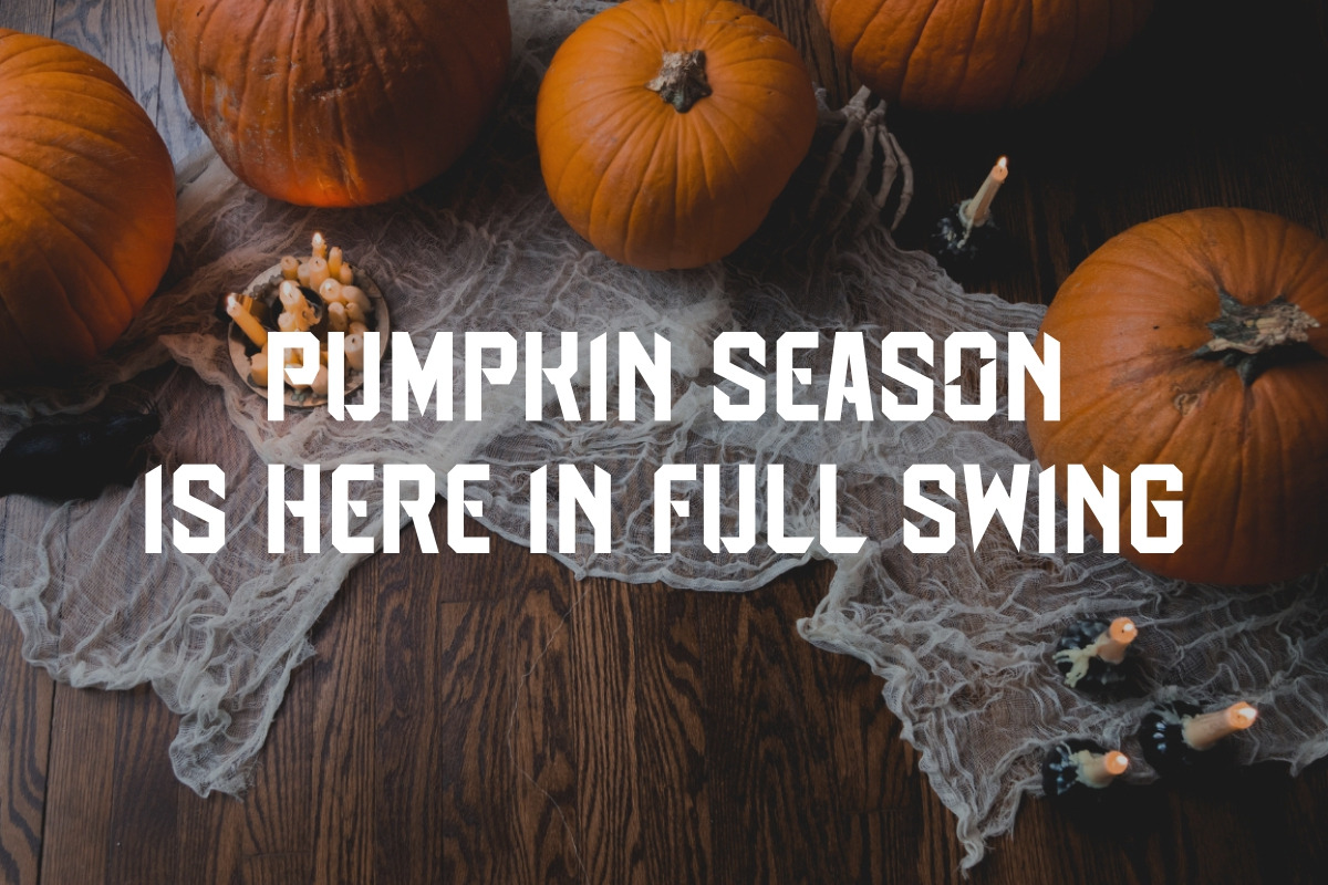 Spooky Pumpkin - Quirky Vintage Font, a Sans Serif Font by Pian45 Studio (Photo 3 of 9)