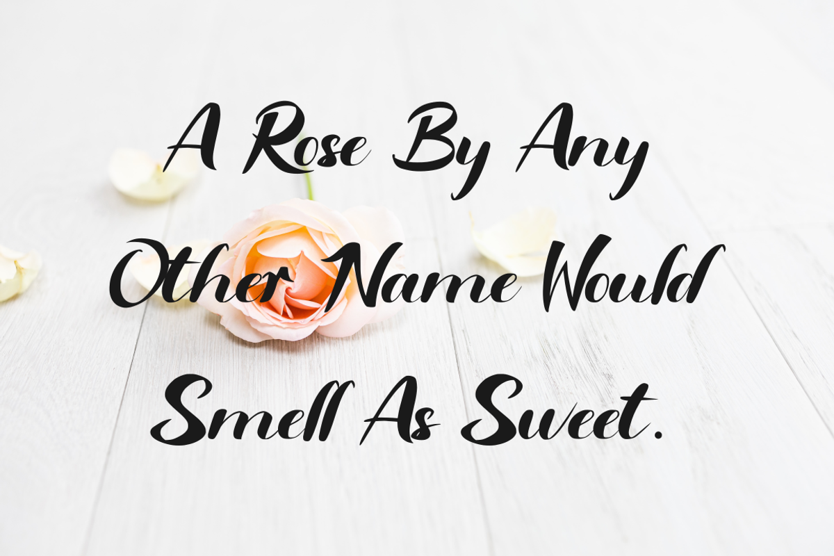 Rinjani a Bold Sript font, a Script Font by Basnistudio (Photo 4 of 6)