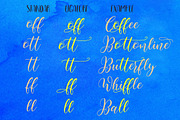 Bottomline, a Script Font by yanindesign (Thumbnail 11 of 13)